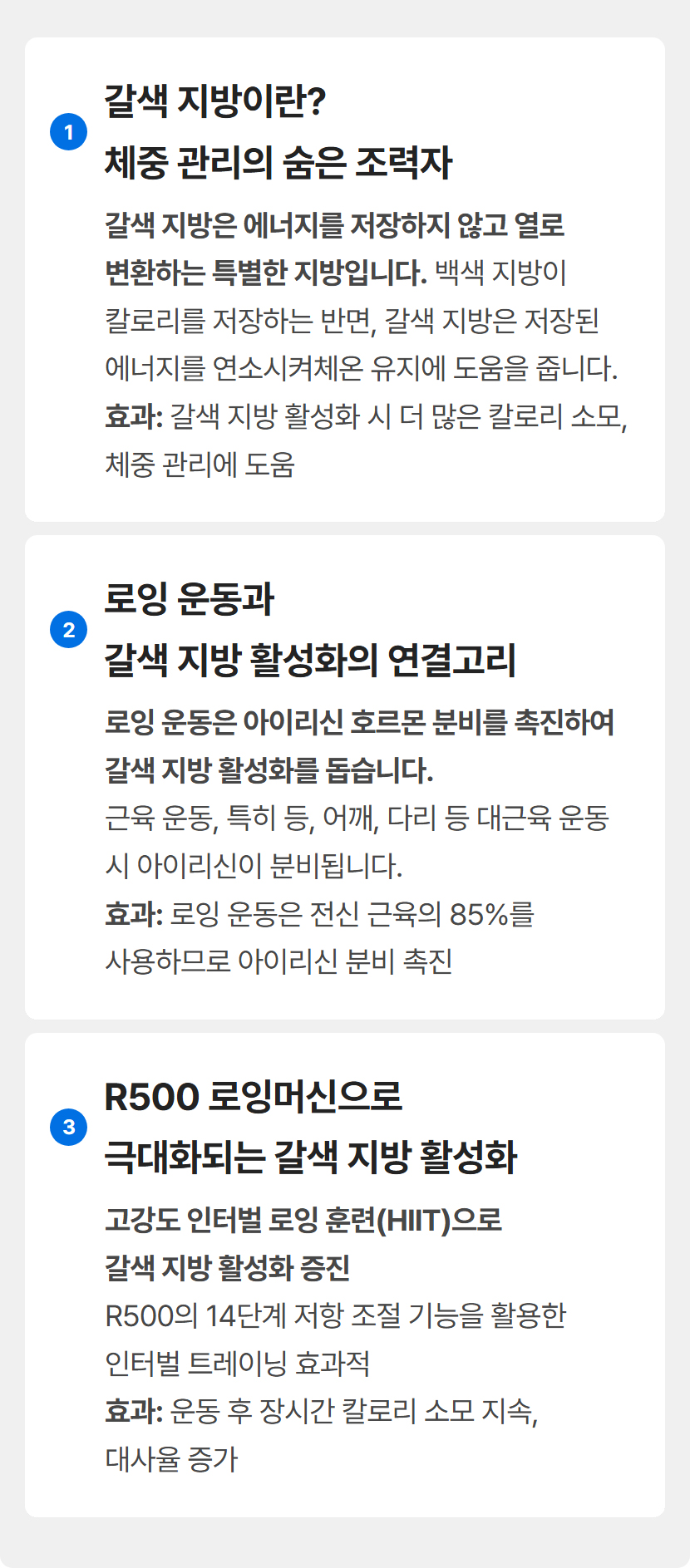 갈색 지방이란? 체중 관리의 숨은 조력자 - 로잉 운동과 갈색 지방 활성화의 연결고리 설명