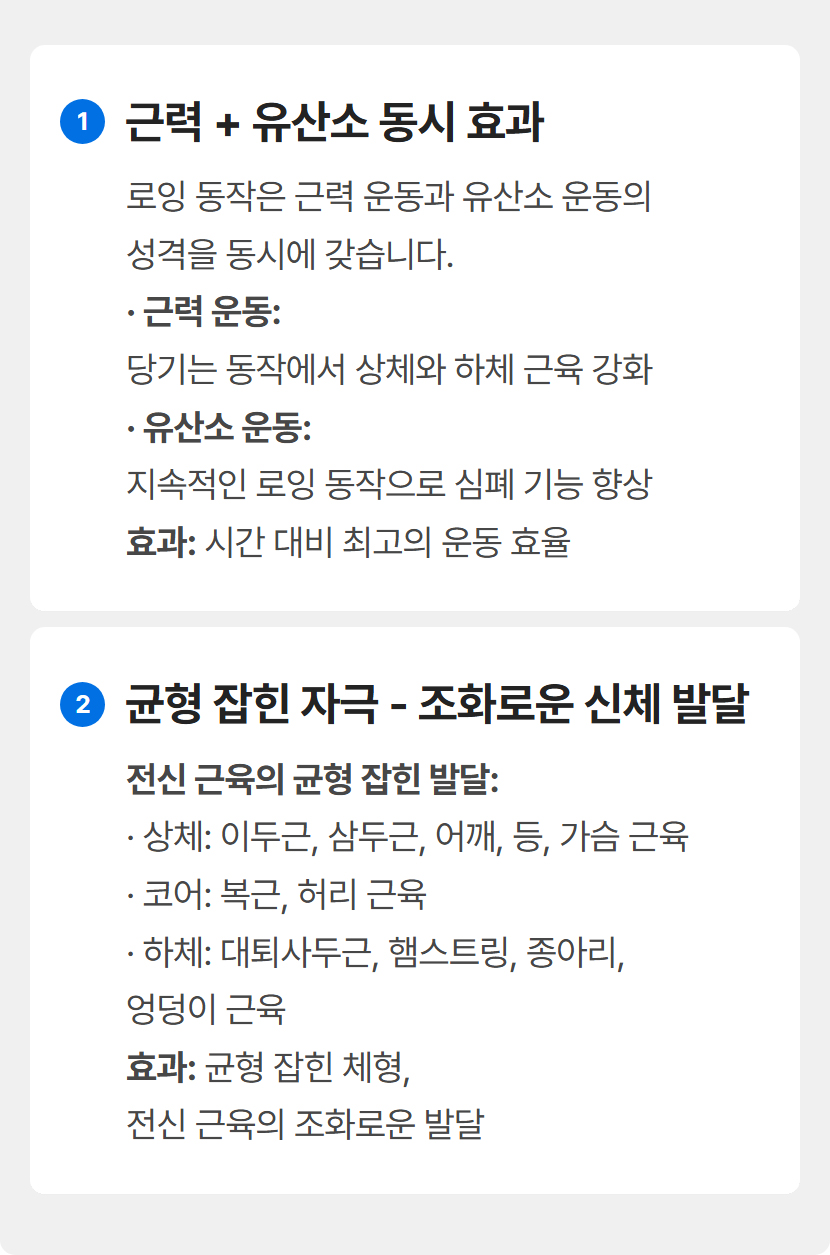 근력과 유산소 동시 효과 및 균형 잡힌 자극으로 조화로운 신체 발달 - R500 로잉머신의 타겟 근육 설명